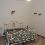 La Civetta *